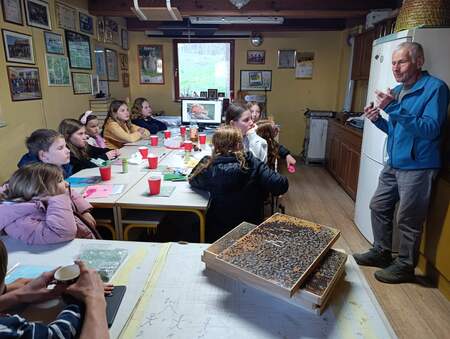 Pripovedovanje Vinka