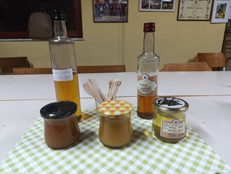 IMG-558116155445ced41b7e9f967ac27029-V