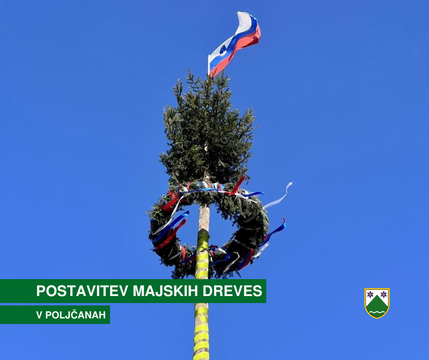 Vzorčna fotografija