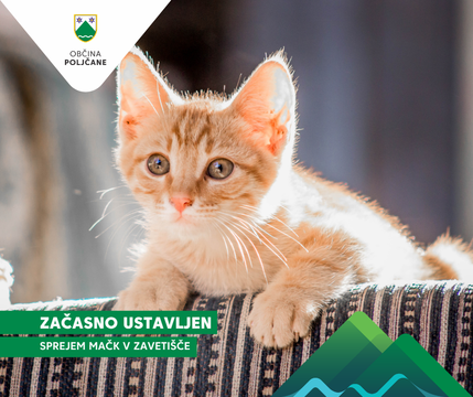 Vzorčna fotografija