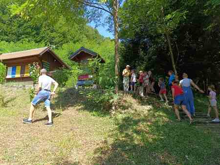 Ogled čebelnjaka