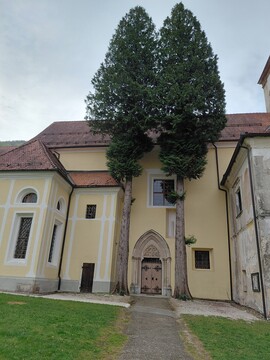 Studenice_cerkev_vhod