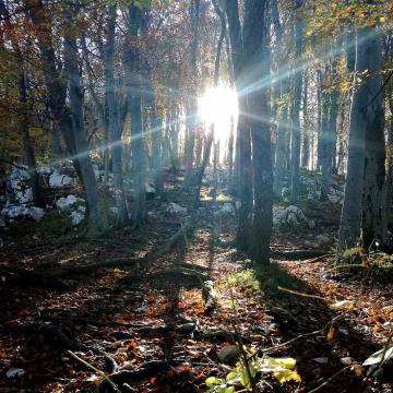 foto-planinske-poti-2