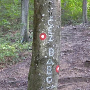 foto-planinske-poti-3