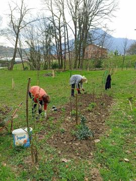 IMG_20240323_094700