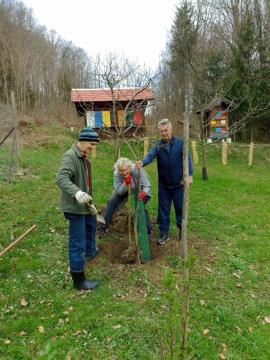 IMG_20240323_101658