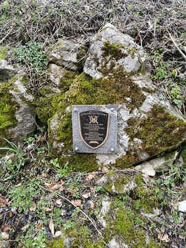 IMG_20250325_144358_resized_20250327_105719122