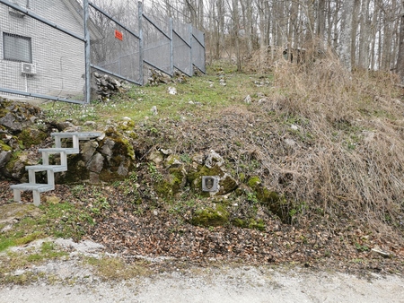 IMG_20250325_144953_resized_20250327_105719618