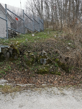 IMG_20250325_144429_resized_20250327_105720106