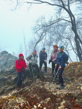 IMG-0f6db318eaefc578733211ff41235524-V