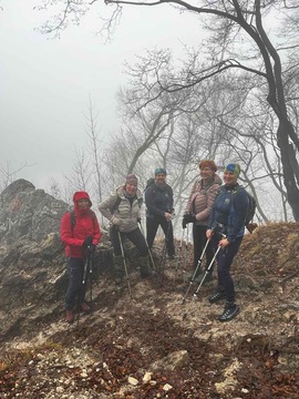 IMG-c93a9b34a2ce773d0e4ab2d9b723c317-V