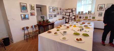 Messenger_creation_8c18ea32-1128-474f-8e39-e6879b7c13d5