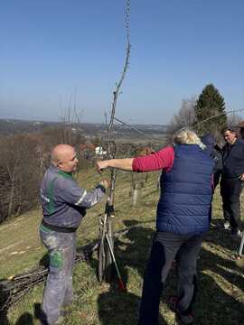 IMG-86c35711a630d2937c3b273584584c3f-V