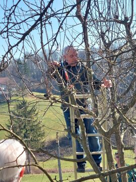 1000017027-1-768x1024