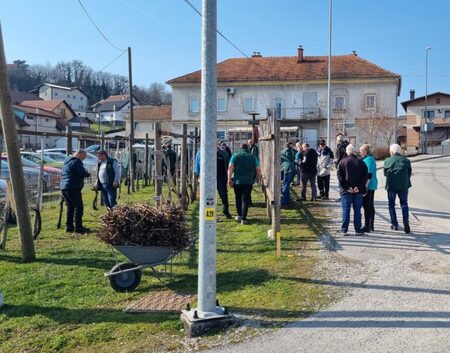 20260301_104919-768x602