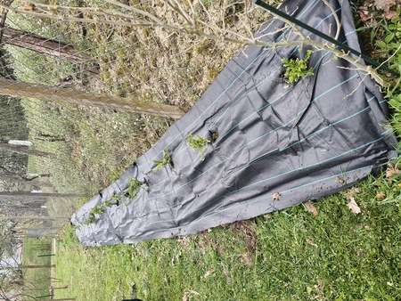 20260410_180307